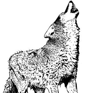 Meet your Posher, Anela